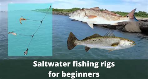 Types of Ocean Fishing: Complete Guide for Beginners.